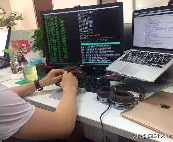 软件工程师和程序员发展前景,程序员做软件有前途吗