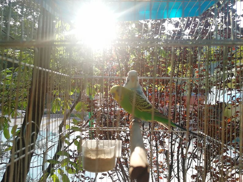 洛阳栾川竹海野生动物园值得去吗,洛阳栾川竹海野生动物园都有什么