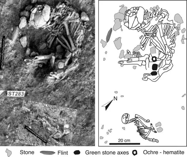 家猫引入中国的记载,家猫是恐猫演变而来的吗