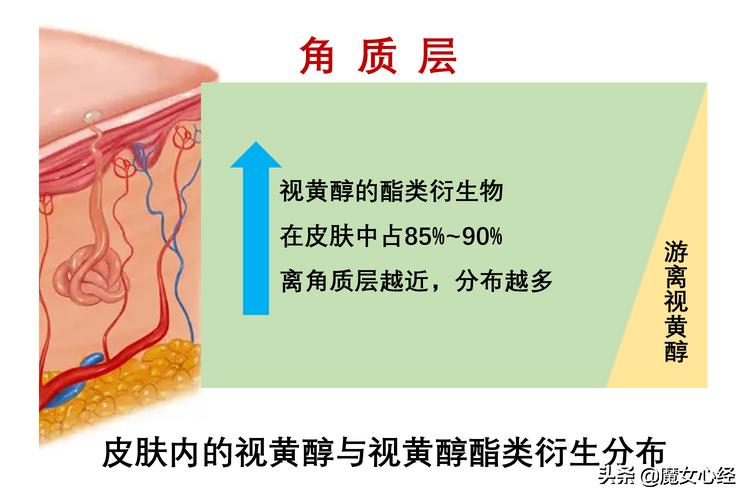 a醇产品哪个更好,a醇的产品哪个好