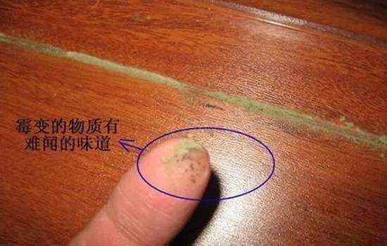 墙壁发霉怎么防止渗水,墙壁发霉怎么抹掉