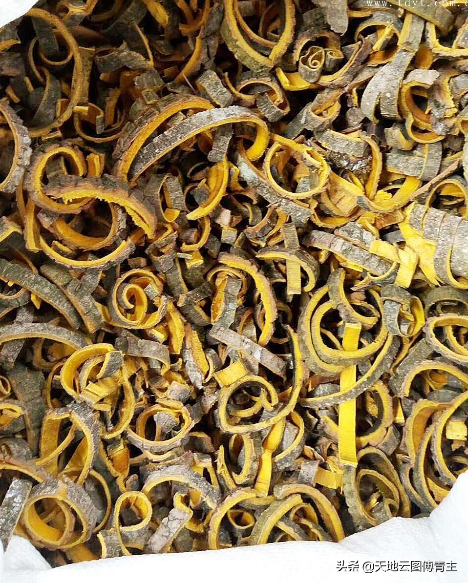 中药材黄柏的目前市场行情,2023中药材黄柏的目前市场行情