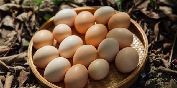深圳卫健委|你从乡下带的土鸡蛋,或许还不如超市买的普通蛋