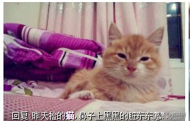 猫咪手脏怎么清洗,如何洗猫咪粘毛的物品