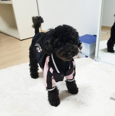 朴灿烈吴世勋关系分析,朴灿烈多芬吴世勋