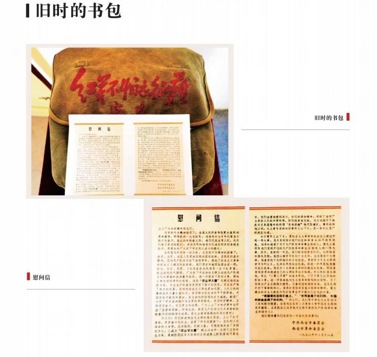 西安第85中的升学率,西安第85中学