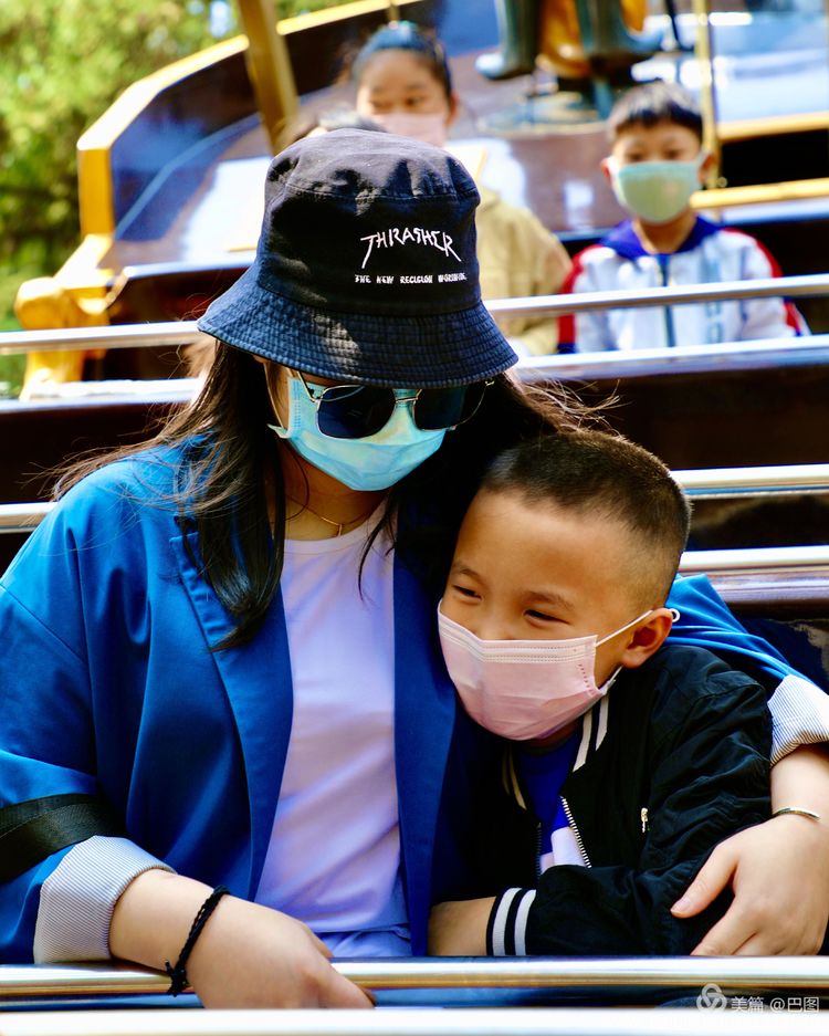 看洛阳牡丹花卉节,洛阳古都牡丹花展