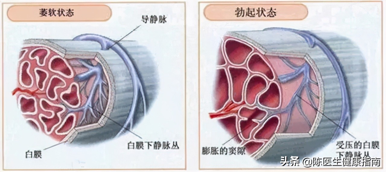 糖尿病胰岛功能会越来越差么,二型糖尿病胰岛功能会越来越差吗