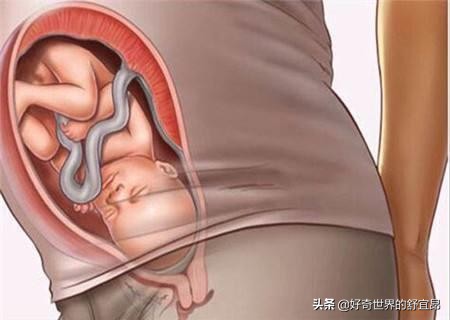 代孕是怎么回事？一方生不属于自己的孩子，一方不怀孕就有了宝宝