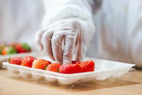 一红到底只卖一天,盒马的葲荭草莓逼疯供应商