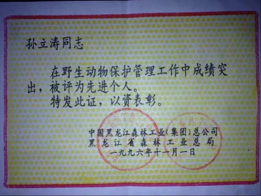 伊春市林区今昔对比,伊春六七十年代林区林场