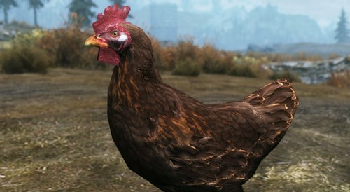 老滚5杀鸡是什么梗,老滚5steam为啥买不到