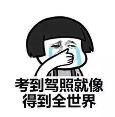 最快45天拿证是真的吗,45天拿到驾驶证