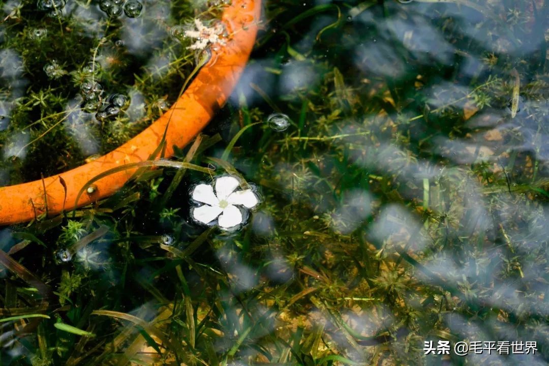 你眼中的南京是什么样子,你眼中的南京