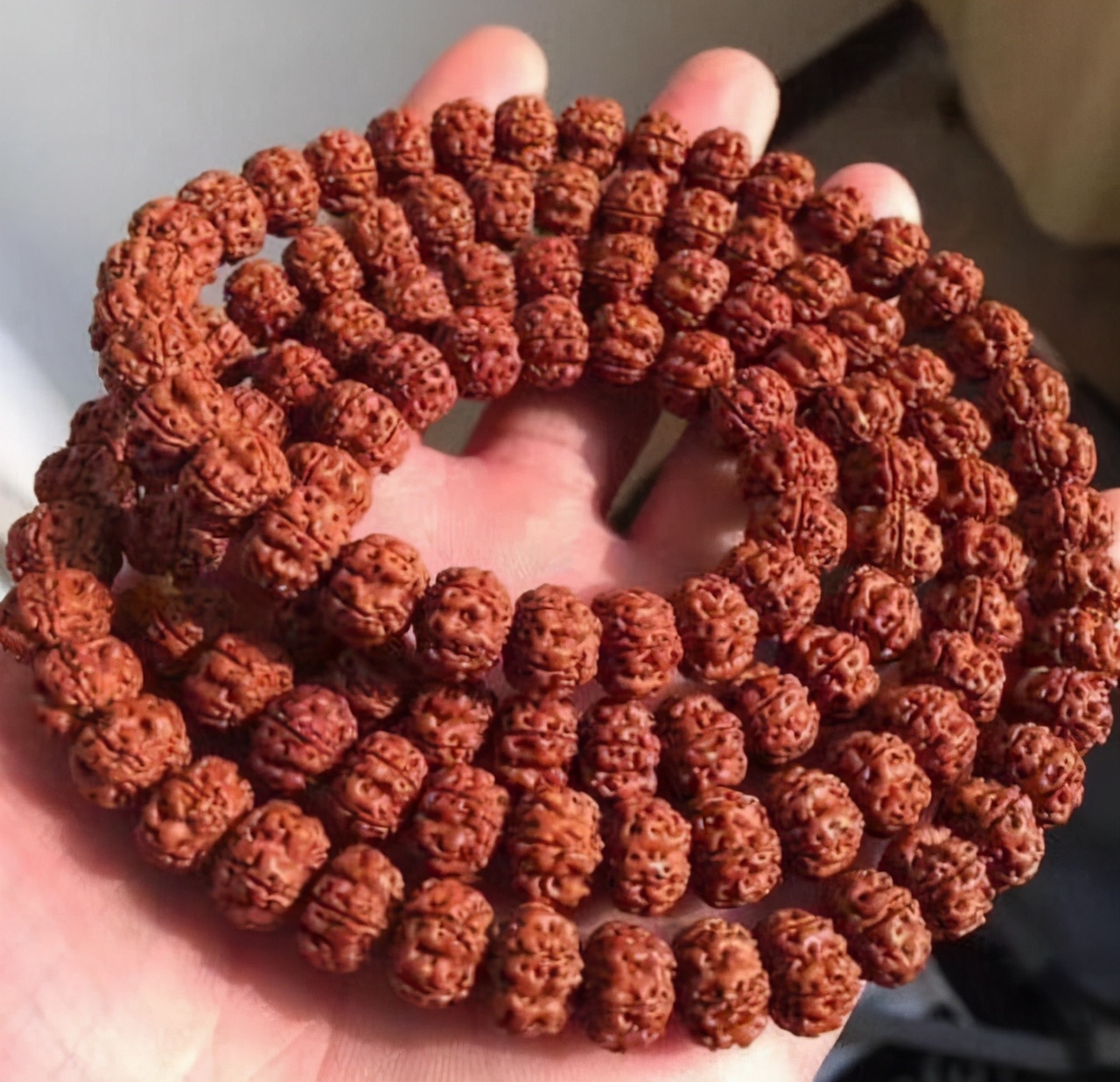 现在不玩金刚菩提了都玩什么,金刚菩提的基础知识