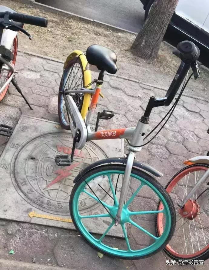 共享单车变身“混血儿”？！网友：介得装仨APP才能扫得开吧……