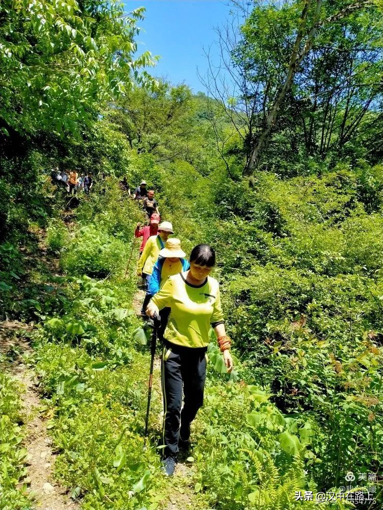 汉中圈子崖天坑,汉中镇巴圈子崖天坑旅游攻略
