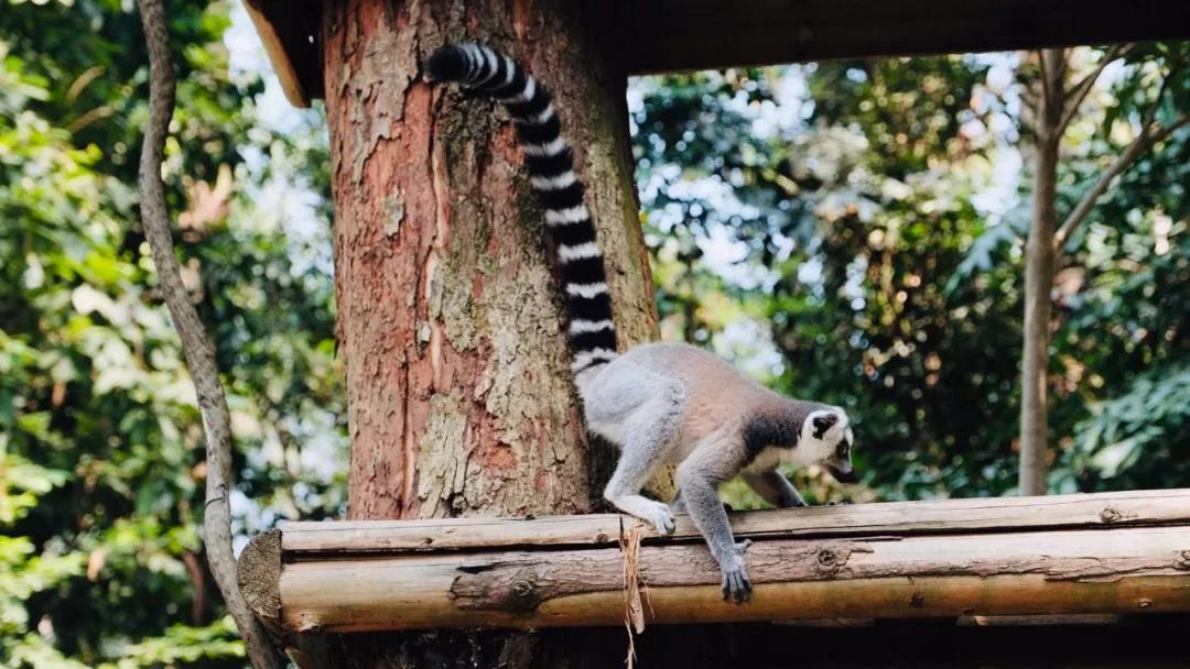 推荐最好玩的乐园,有没有值得玩的地方推荐一下
