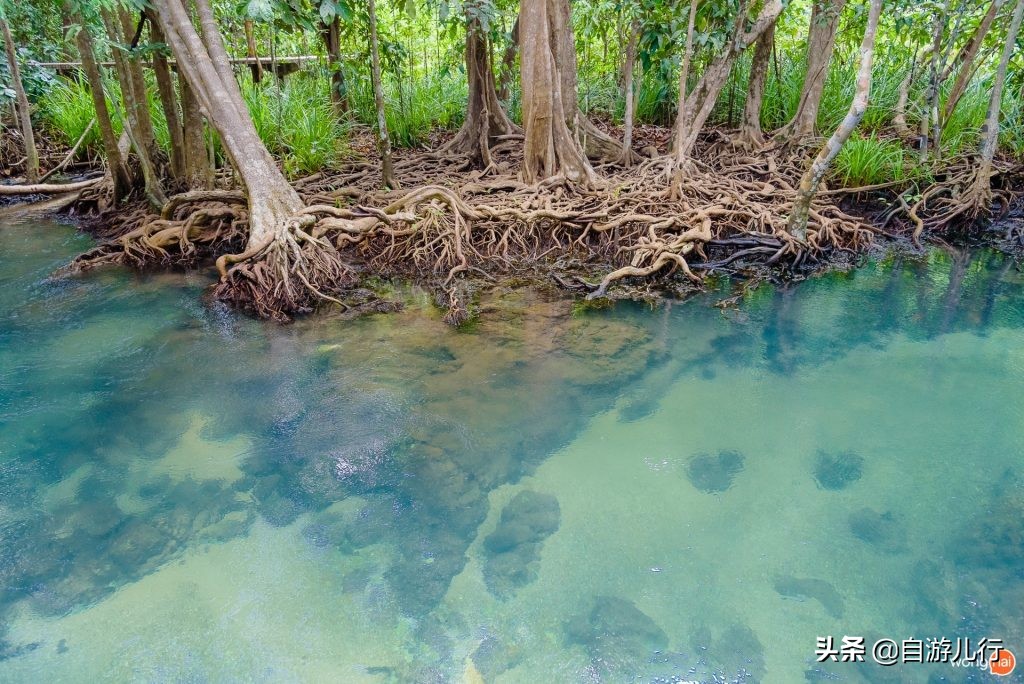 泰国#甲米府#超级旅行宝典