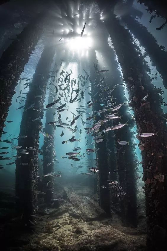 沛纳海luminor深海,沛纳海潜行埃及