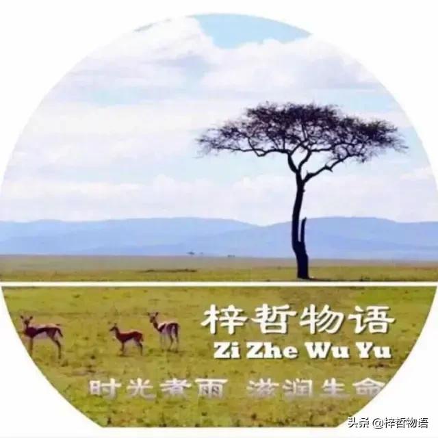 知乎摘录精彩问答56条,读后让人豁然开朗!