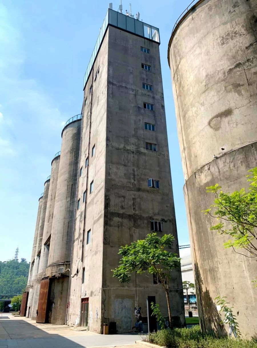 去蛇口玩吗,深圳蛇口值得去吗