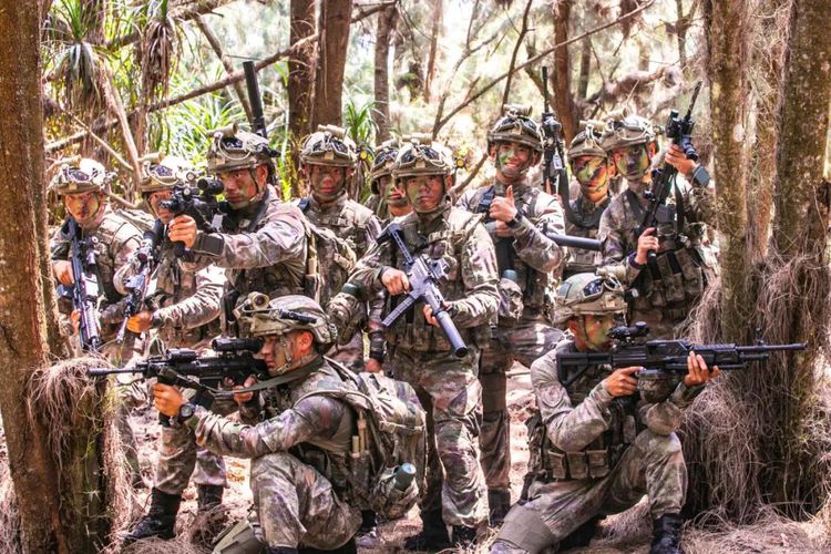 美军和解放军单兵装备比较,解放军和美军的装备对比