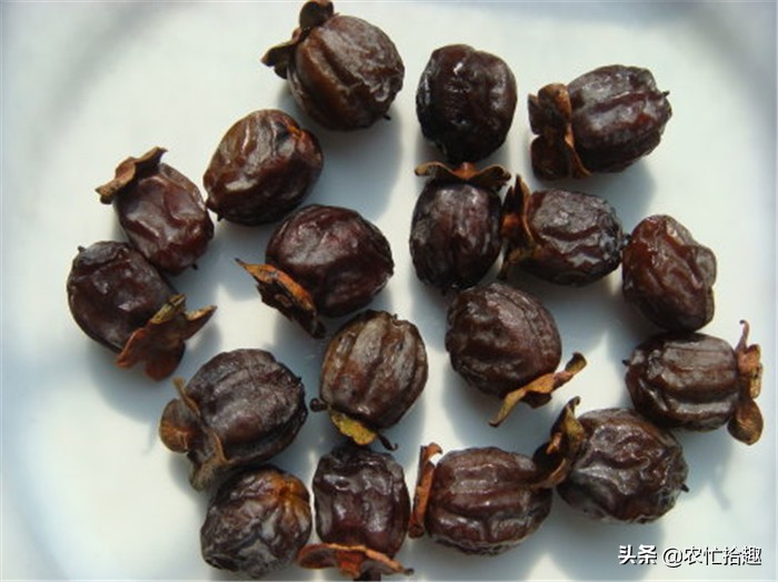 娣卞北閲庣敓浼樿川榛戞灒,澶╃劧閲庣敓榛戞灒