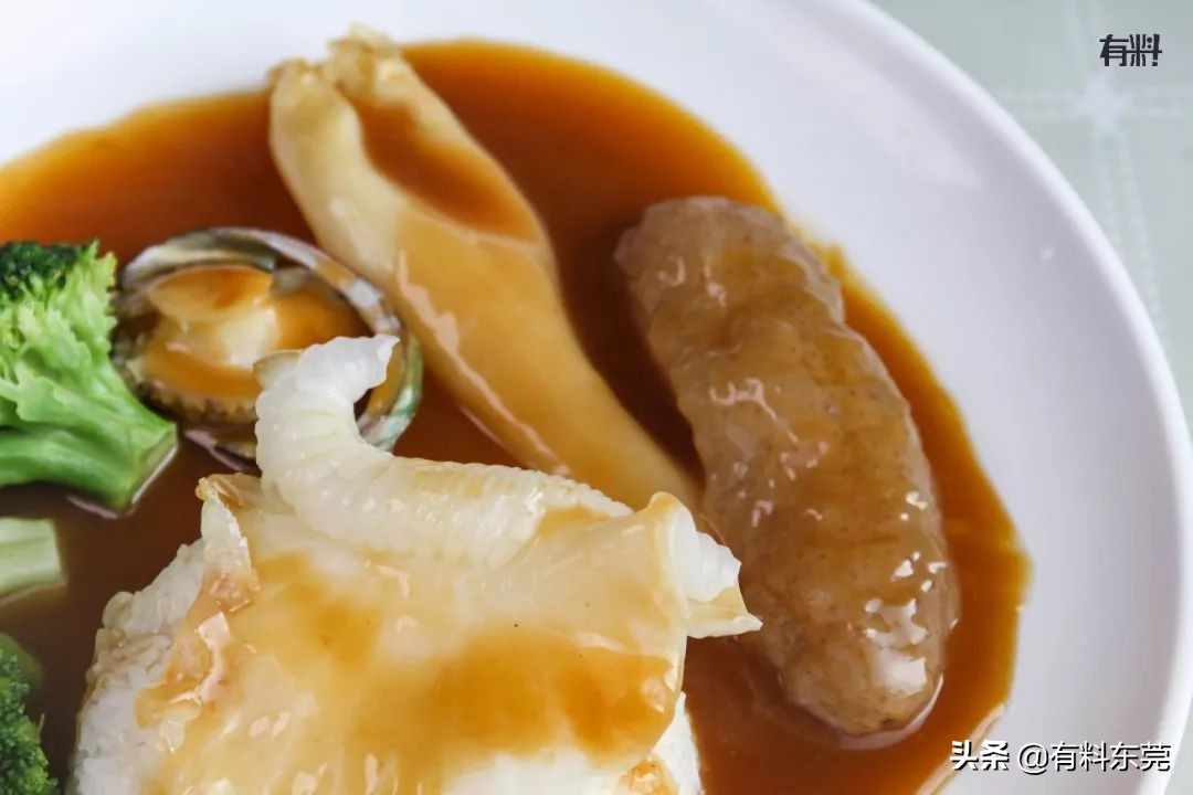 石锅鱼翅花胶捞饭团购,上海花胶鱼翅捞饭