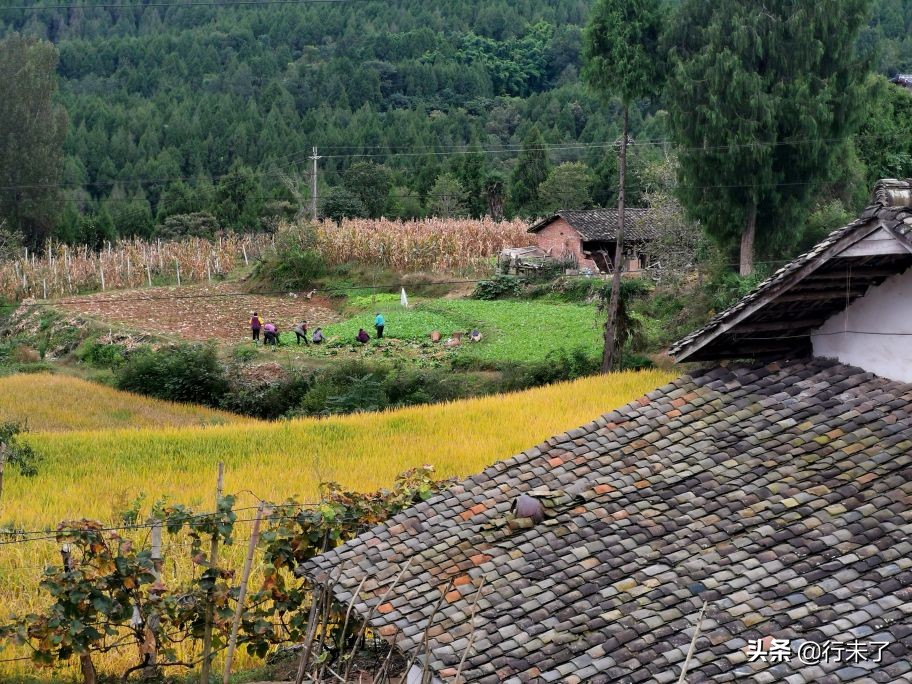 不负金秋香格里拉环线骑行视频,不负金秋千里骑行15天