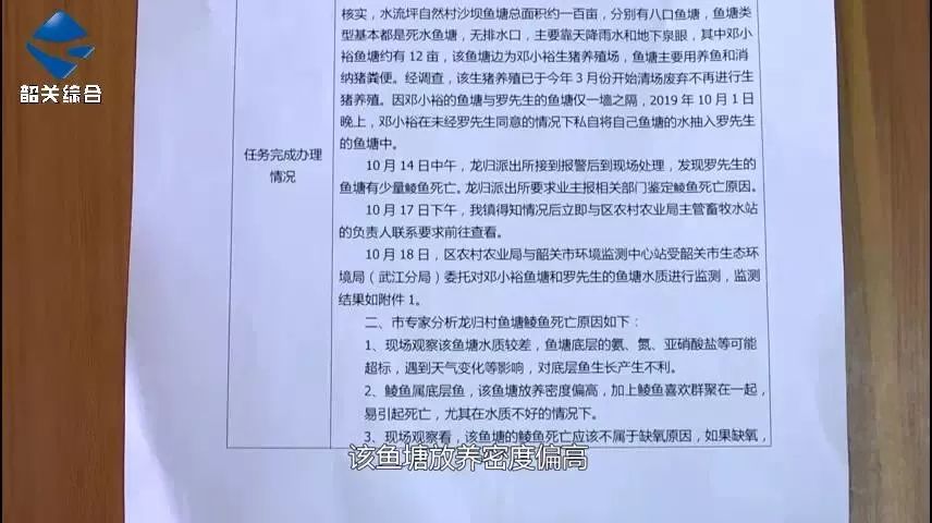 追踪|价值23万的雪鲮意外死亡！水质监测报告已出，谁之过？