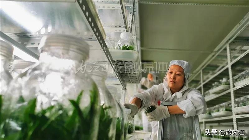 厉害发明专利,厉害了中国的技术