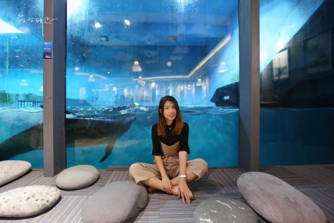 国内夏天最凉快的5个地方,8月最凉快的旅游城市