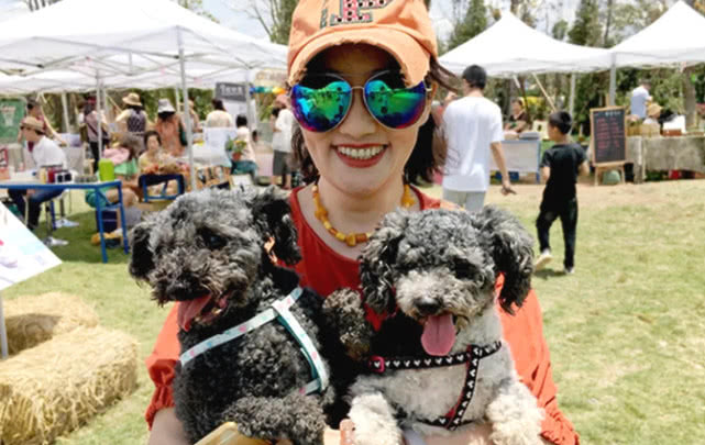 这次搞了一个让人傻笑的玩场摩登游戏集的功效