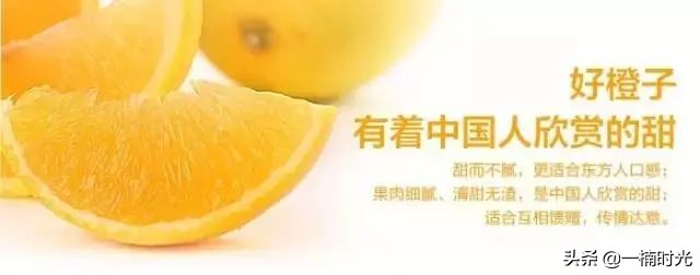 褚橙农业推广方式,褚橙未来走势