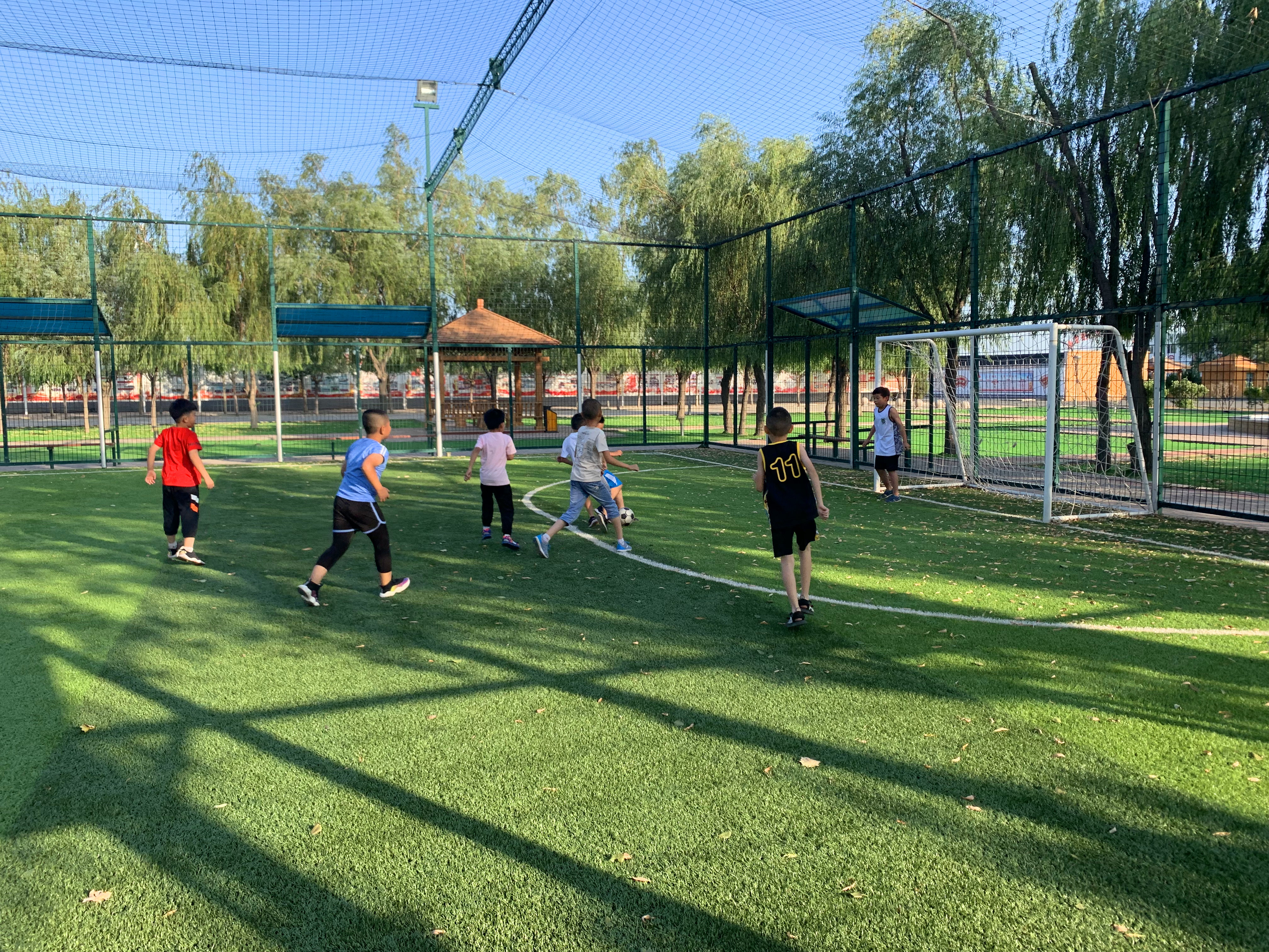 我的“红暑”我做主雏鹰小队欢乐多