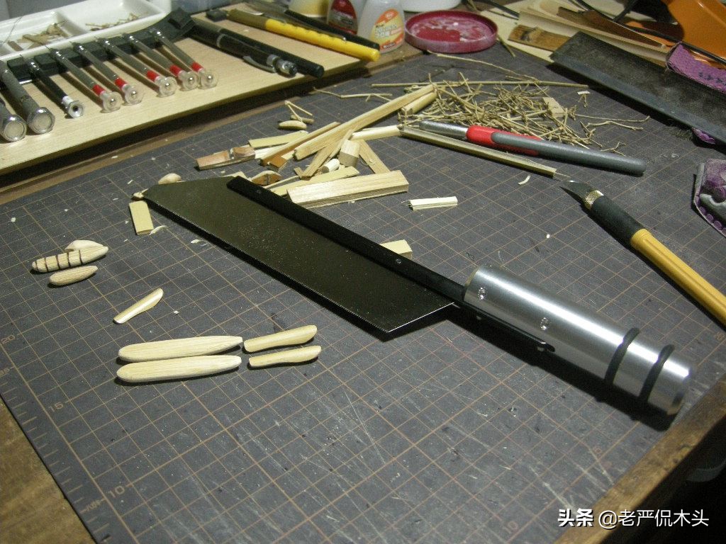 昆虫标本树脂竹节虫,昆虫标本制作竹节虫