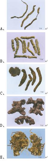 药学执业药师历年真题讲解,执业药师中药学历年真题资源