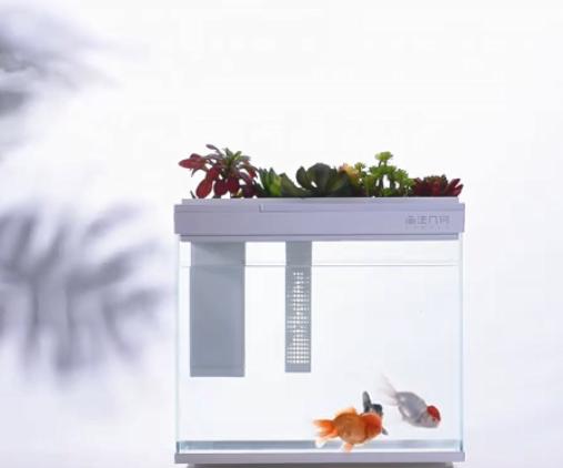 灏忕背鏅鸿兘鎶曞杺楸肩几,灏忕背绫冲鏅鸿兘楸肩几鎬庝箞鎺у埗鐏厜