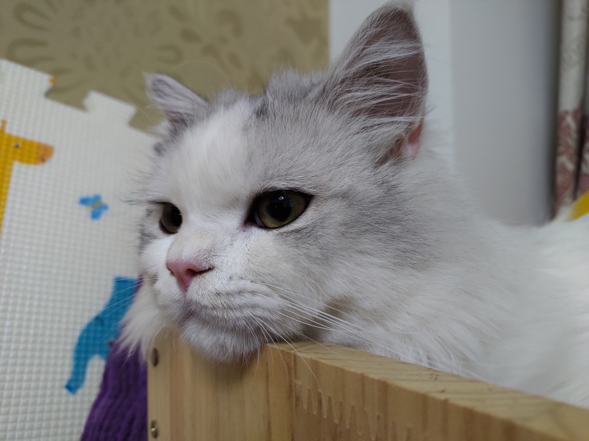 华硕rog2代游戏测评,华硕rog手机2代精英款