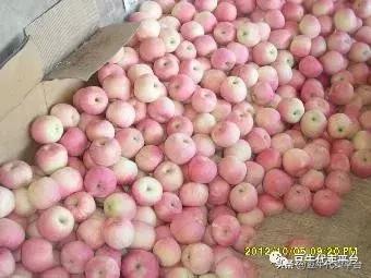 水果代办赚差价,水果贵有贵的道理