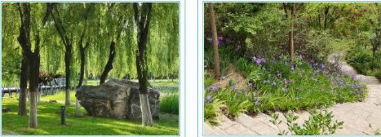 颜值爆表!28万平绿地,55%绿化率,来看西安这所园林式高校