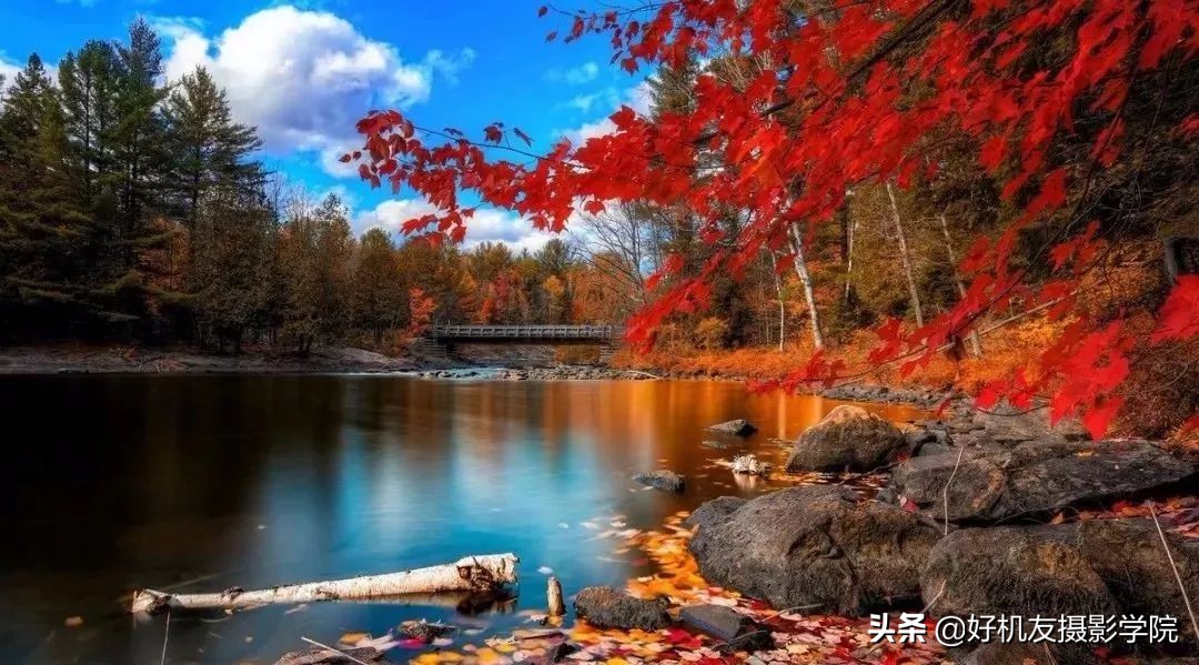 照片灰蒙蒙的怎么拍,照片灰蒙蒙的怎么变清新