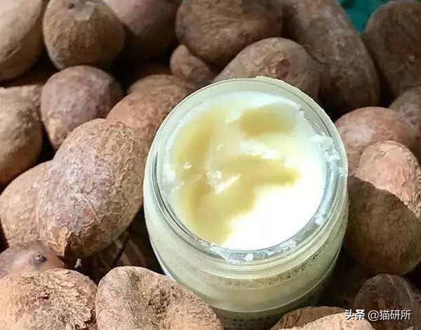 猫咪爪垫干裂可以涂什么,猫咪爪垫开裂用什么护爪霜