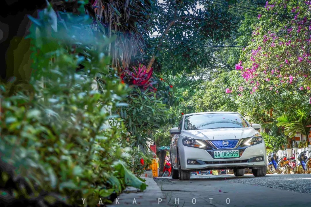 昆明自驾老挝超详细攻略,昆明老挝一日游