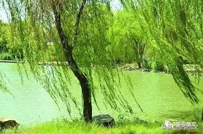 那个遥远的村庄,在那遥远的小山村