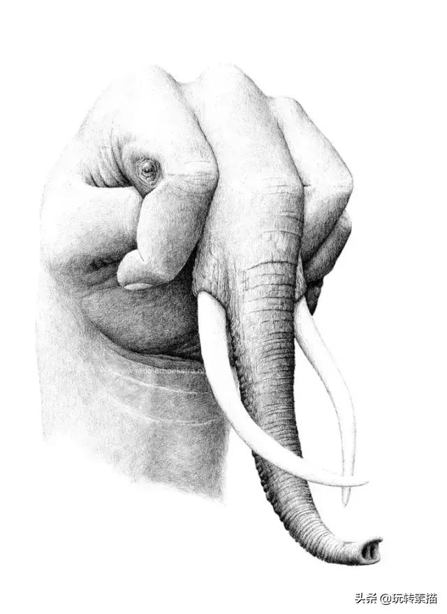 小清新素描黑白插画,看似抽象实则写实的画