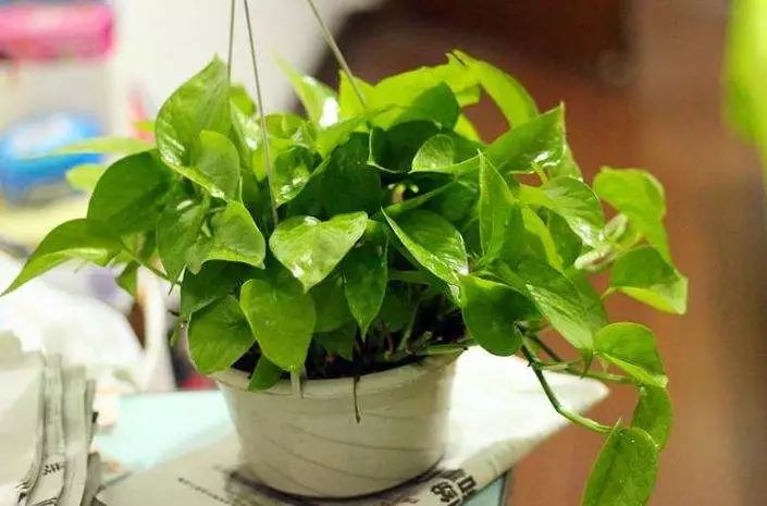 3岁孩子误食了药物属于意外吗,小孩误食绿植肥料怎么办