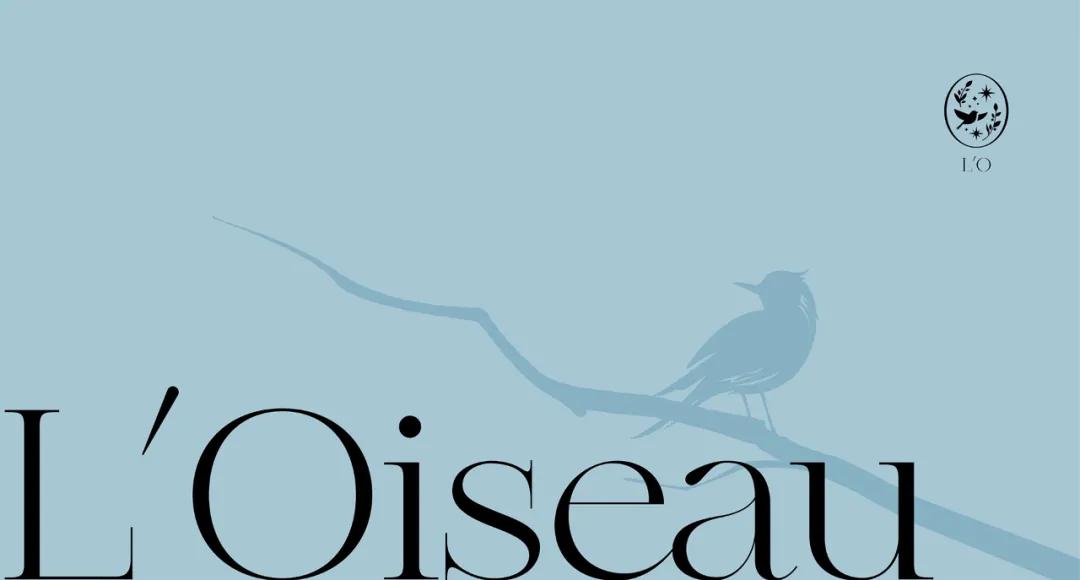 ai产品包装设计灵感,最新趋势的包装设计