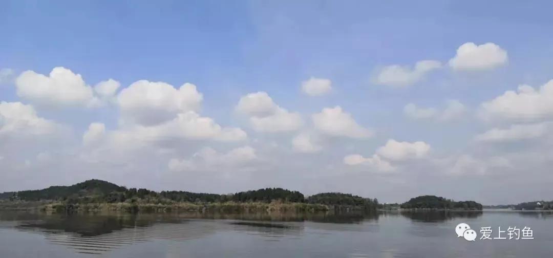 鲁班接待称“每天都可起10多斤的大草鱼”？